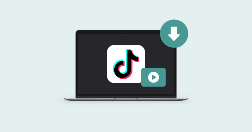 TikTok Video Downloader Tool
